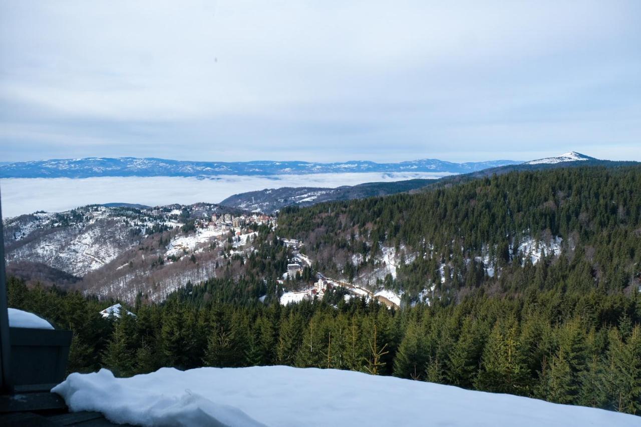 Vila Planinsko Blago Kopaonik Ngoại thất bức ảnh